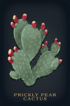 Vintage Flora Noir - Prickly Pear Cactus - Red