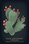 San Antonio, Texas - Vintage Flora Noir - Prickly Pear Cactus - Red