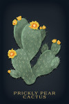 Vintage Flora Noir - Prickly Pear Cactus - Yellow