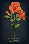 Honolulu, Hawai'i - Vintage Flora Noir - Red Hibiscus