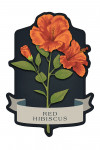 Vintage Flora Noir - Red Hibiscus - Contour
