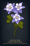 Denver, Colorado - Vintage Flora Noir - Rocky Mountain Columbine