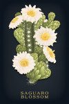 Vintage Flora Noir - Saguaro Blossom