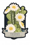 Phoenix, Arizona - Vintage Flora Noir - Saguaro Blossom - Contour