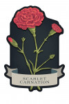 Vintage Flora Noir - Scarlet Carnation - Contour