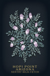Hopi Point, Arizona - Vintage Flora Noir - Sentry Milk-Vetch