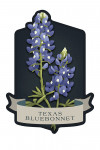 Vintage Flora Noir - Texas Bluebonnet - Contour