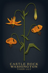 Castle Rock, Washington - Vintage Flora Noir - Tiger Lily