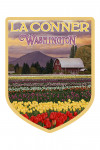 La Conner, Washington - Tulip Fields - Contour