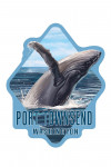 Port Townsend, Washington - Painterly - Humpback Whale - Contour