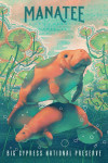 Big Cypress National Park, Florida - Fluid Linework - Manatee