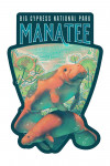 Big Cypress National Park, Florida - Fluid Linework - Manatee - Contour