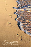 Ogunquit, Maine - Photography - Footprints in Sand