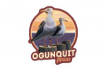 Ogunquit, Maine - Seagulls on Piers - Contour