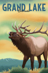 Grand Lake, Colorado - Lithograph - Elk