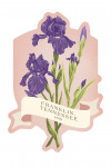 Franklin, Tennessee - Vintage Flora - State Series - Iris - Contour