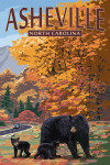 Asheville, North Carolina - Bear Family & Fall Colors