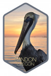 Bandon, Oregon - Photography - Pelican - Contour