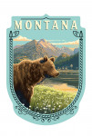 Montana - Painterly - Bear - Contour