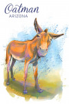 Oatman, Arizona - Watercolor - Wild Burro