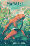 Biscayne National Park, Florida - Fluid Linework - Manatee