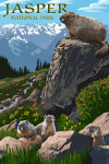 Jasper National Park, Canada - Marmots