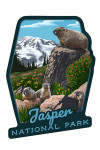 Jasper National Park, Canada - Marmots - Contour