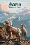 Jasper National Park, Canada - Painterly - Bighorn Sheep