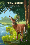 Paris Landing State Park, Tennessee - Painterly - White Tailed Deer