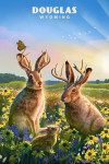 Douglas, Wyoming - Lithograph - Jackalope Warren