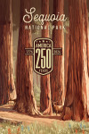 Sequoia National Park, California - Painterly Collection 250