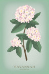 Savannah, Georgia - Vintage Flora - Mayflower