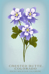 Crested Butte, Colorado - Vintage Flora - State Series - Rocky Mountain Columbine