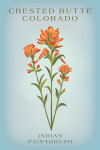 Crested Butte, Colorado - Vintage Flora - Indian Paint Brush