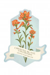 Crested Butte, Colorado - Vintage Flora - Indian Paint Brush - Contour