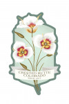 Crested Butte, Colorado - Vintage Flora Series - Sego Lily - Contour