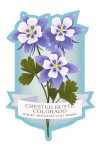 Crested Butte, Colorado - Vintage Flora - State Series - Rocky Mountain Columbine - Contour