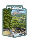 Steamboat Springs, Colorado - Painterly - Bear and Family Creek - Contour