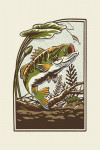 Vintage Linework - Bass Fishing