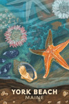 York Beach, Maine - Painterly - Tiny World Huge Wonders - Starfish & Shells