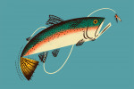 Midcentury - Trout Fishing