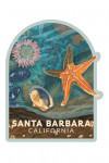Santa Barbara, California - Painterly - Tiny World Huge Wonders - Starfish & Shells - Contour