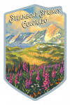 Steamboat Springs, Colorado - Oil Painting - Flatirons - Contour