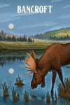 Bancroft, Ontario - Lithograph - Reflection Pond & Bull Moose