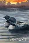 Bancroft, Ontario - Loons & Lake at Sunset