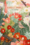 Borrego Springs, California - Desert Blooms