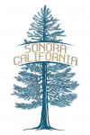 Sonora, California - Blue Spruce Tree - Gold Type