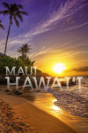 Maui, Hawai'i - Photography - Sunset and Palm