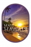 Maui, Hawai'i - Photography - Sunset and Palm - Contour