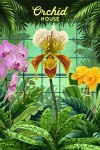 Painterly - Orchid House
